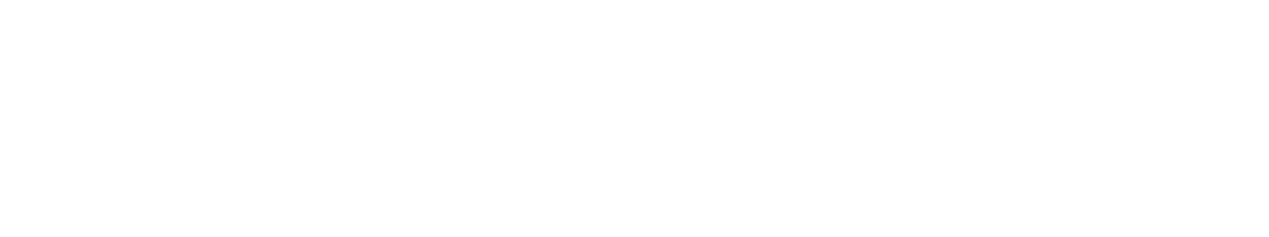 Integrity Network Solutions